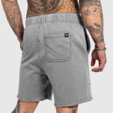 Pánske kraťasy Iron Aesthetics X Washed, sivé · záber 4
