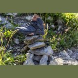 Salomon X Ultra 4 MID GTX W - Veľkosť: 38 · záber 5