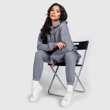 Dámska mikina Iron Aesthetics Cargo, sivá · záber 2