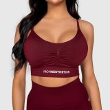 Športová podprsenka Iron Aesthetics Inspire, bordová · záber 4