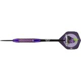 Bull's Aubergenius SC Dirk Van Duijvenbode Steel 21 g · záber 1