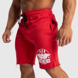 Pánske teplákové kraťasy Iron Aesthetics Force, červené · záber 2