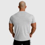 Pánske fitness tričko Iron Aesthetics Unbroken, sivé · záber 5