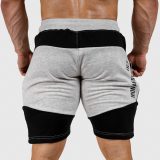 Pánske teplákové kraťasy Iron Aesthetics Panels, sivé · záber 3