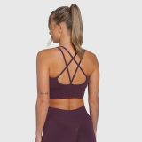 Dámska športová podprsenka Iron Aesthetics Ultimate, plum · záber 2