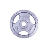 Liatinový kotúč inSPORTline Hamerton 10 kg 30 mm · záber 2