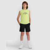 Chlapčenský tank top regular s potlačou - zelený · záber 2