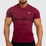 Pánske fitness tričko Iron Aesthetics Standard, bordové · záber 2