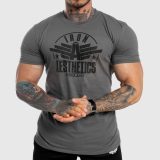 Pánske fitness tričko Iron Aesthetics Force, sivé · záber 1