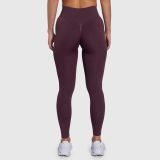 Dámske legíny Iron Aesthetics Ultimate, plum · záber 2