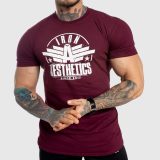 Pánske fitness tričko Iron Aesthetics Force, bordové · záber 1