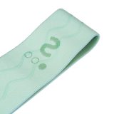 Posilňovacia slučka inSPORTline Hiplop S 60x6 cm / 13 kg - Farba: Zelená · záber 3