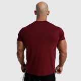 Pánske fitness tričko Iron Aesthetics Unbroken, bordové · záber 5