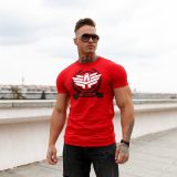 Pánske fitness tričko Iron Aesthetics Triumph, červené · záber 2