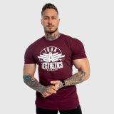 Pánske fitness tričko Iron Aesthetics Force, bordové · záber 5