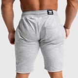Pánske teplákové kraťasy Iron Aesthetics Force, sivé · záber 4