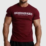 Pánske fitness tričko Iron Aesthetics Unbroken, bordové · záber 1