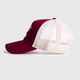 Pánska šiltovka Iron Aesthetics Boost, burgundy/stone · záber 5